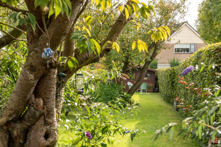 Foto 38 van Buorren 89