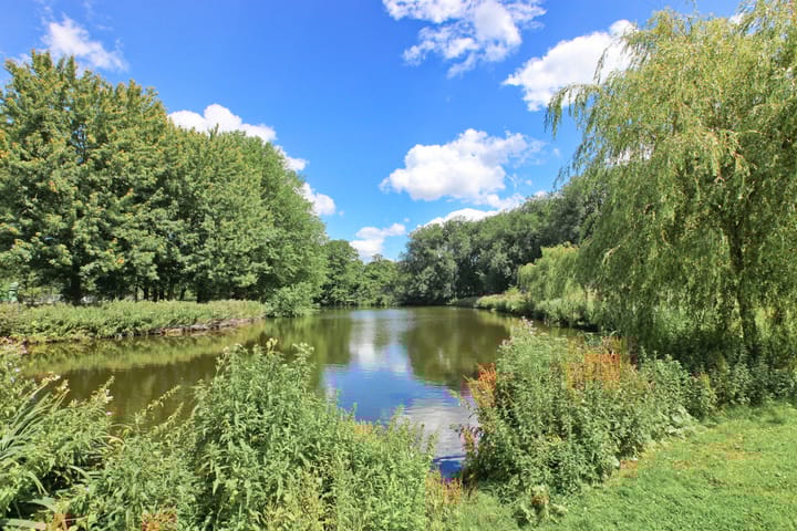 Photo 47 of Paramariboplein 55