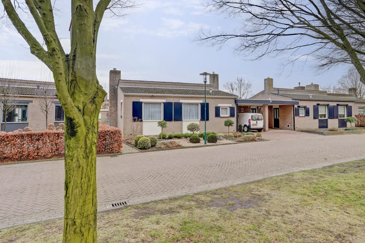 Foto 31 van Den Dries 24