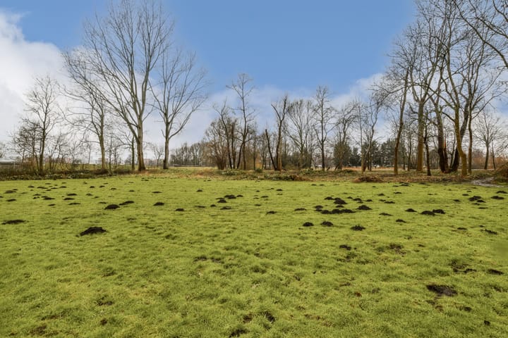 Foto 32 van Voorsteven 41