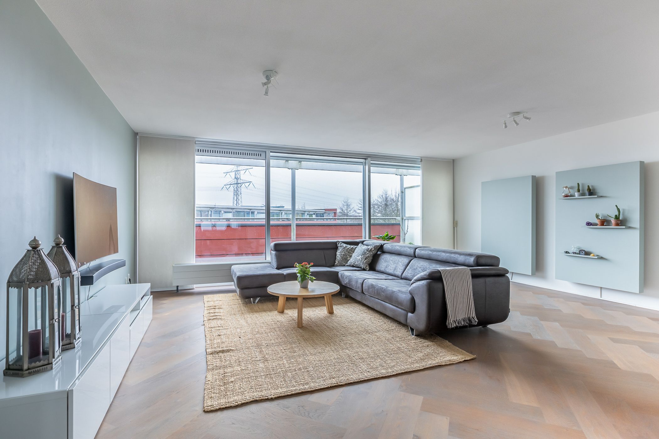 Photo 9 of Karper 47