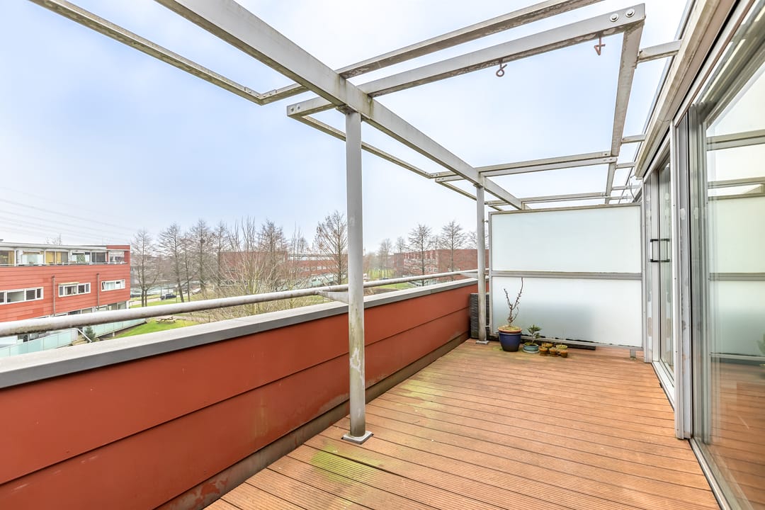 Photo 11 of Karper 47