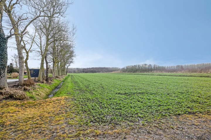 Photo 43 of Voorsterweg 18