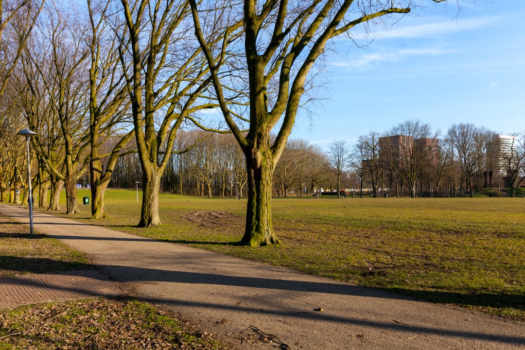 Foto 38 van Beneluxlaan 134