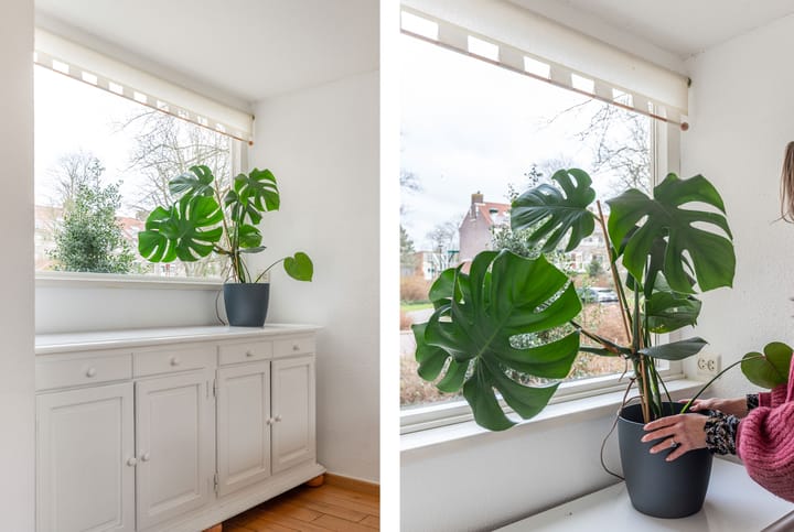 Foto 10 van Geestakker 16