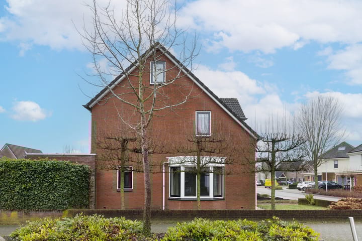 Photo 45 of Anton Mollemanhof 1