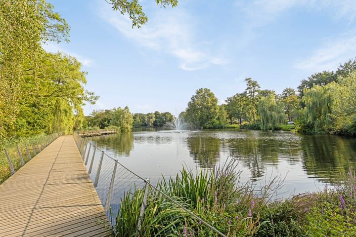 Foto 44 van Schaepmanlaan 15