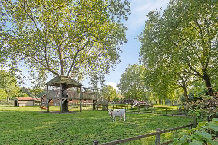 Foto 46 van Schaepmanlaan 15