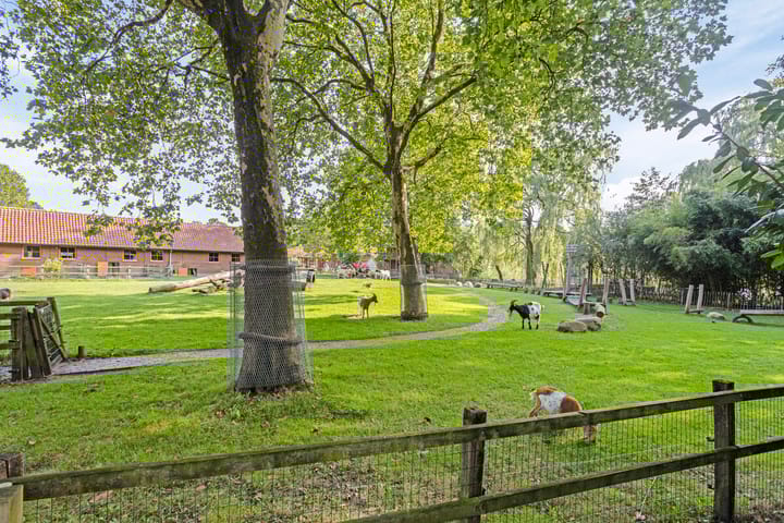 Foto 47 van Schaepmanlaan 15