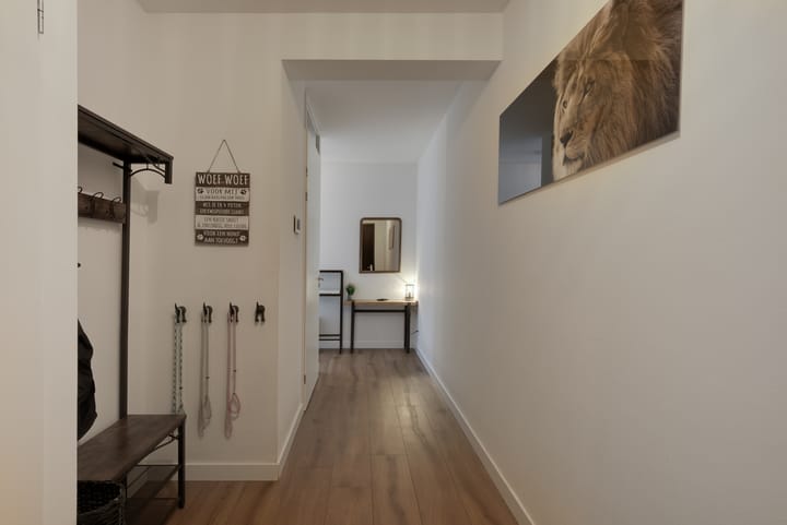 Foto 2 van Lapis Lazuli 146