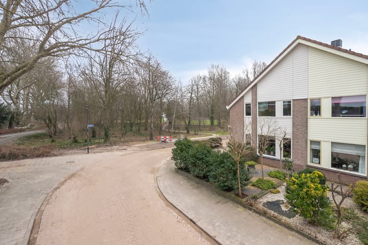 Foto 8 van Tijger 24