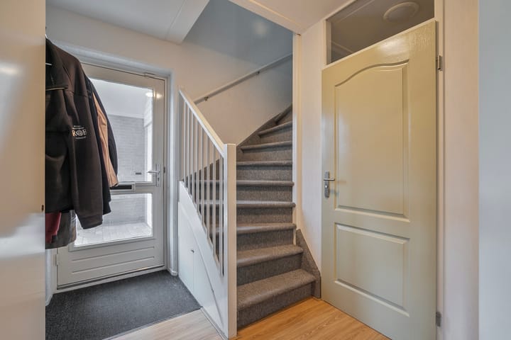 Foto 10 van Tijger 24