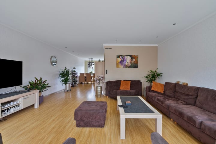 Foto 13 van Tijger 24