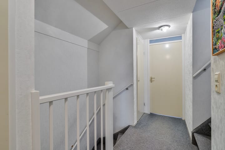 Foto 18 van Tijger 24