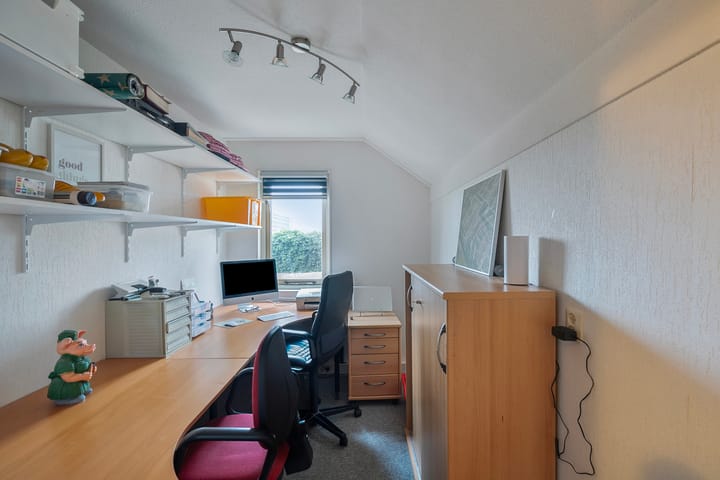 Foto 22 van Tijger 24