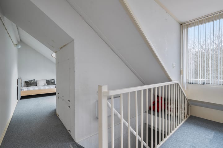 Foto 25 van Tijger 24