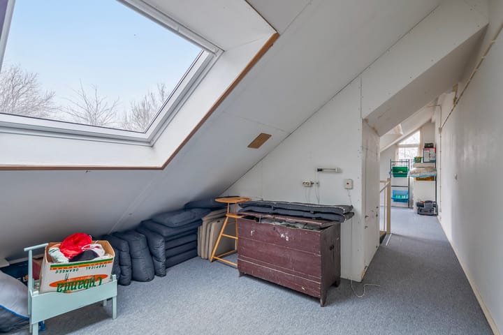 Foto 28 van Tijger 24