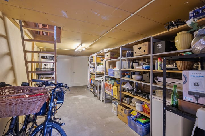 Foto 35 van Tijger 24