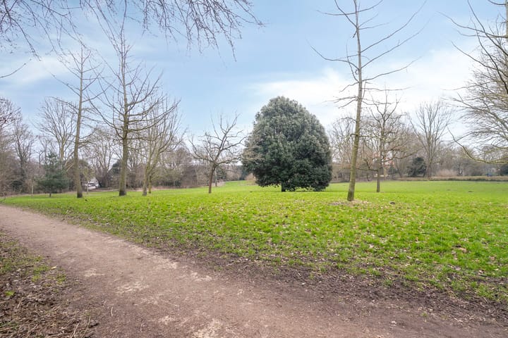 Foto 36 van Tijger 24