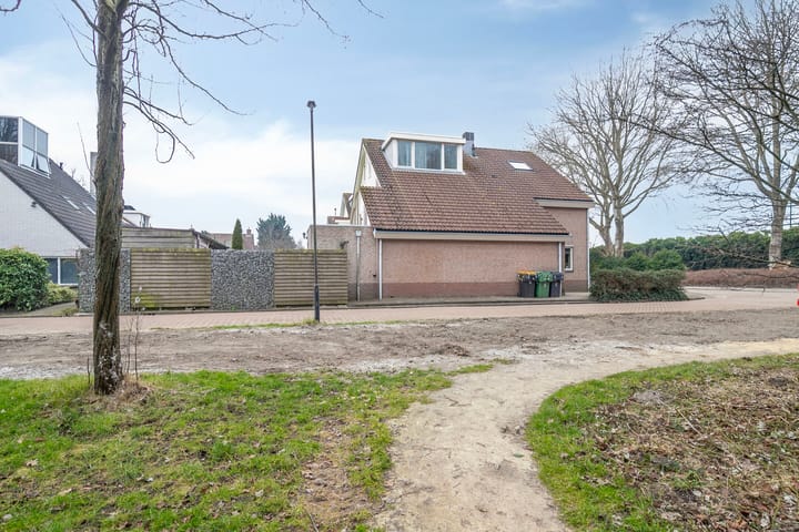 Foto 37 van Tijger 24