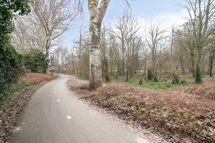 Foto 38 van Tijger 24