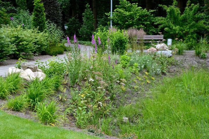 Foto 40 van Mariaplein 8