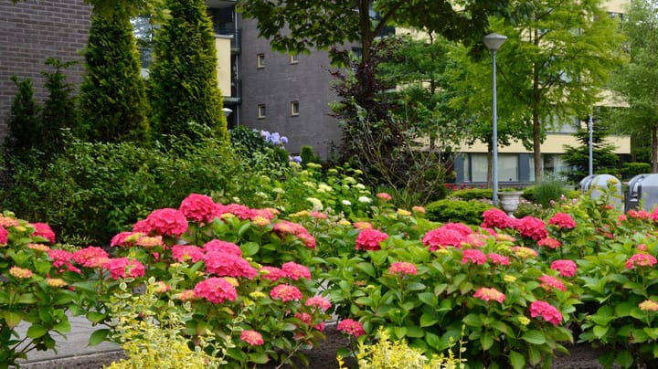 Foto 38 van Mariaplein 8