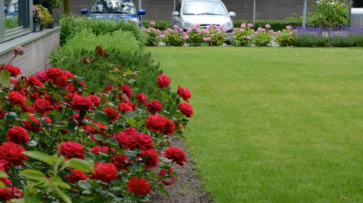 Foto 37 van Mariaplein 8