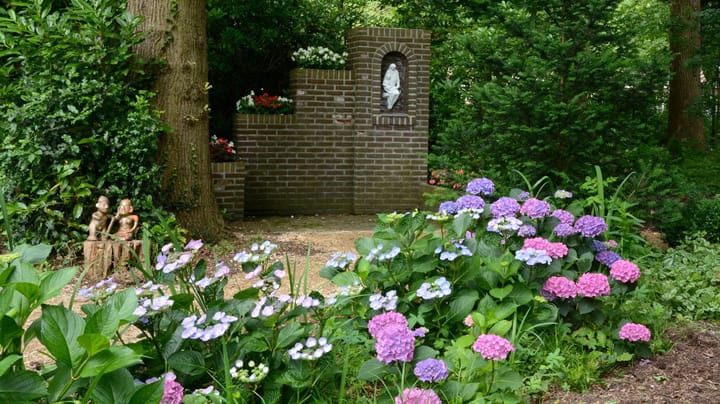 Foto 45 van Mariaplein 8