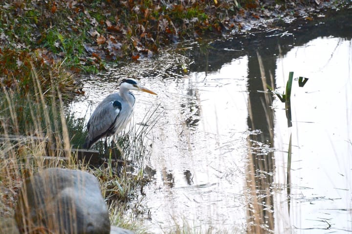 Foto 46 van Mariaplein 8