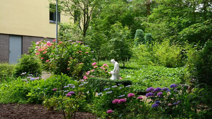 Foto 51 van Mariaplein 8