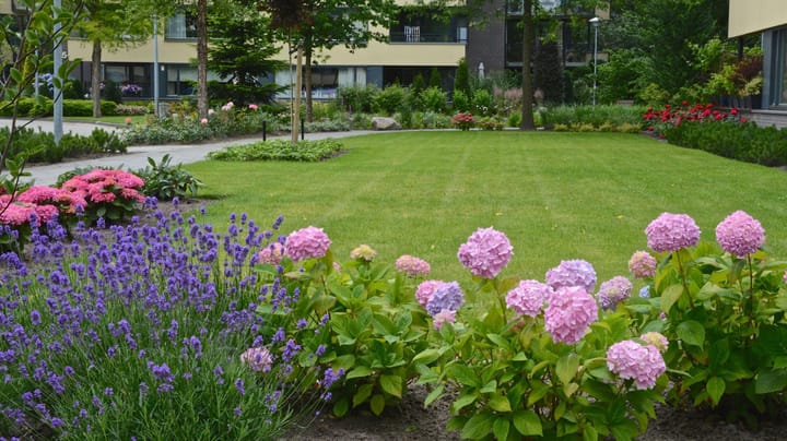 Foto 39 van Mariaplein 8