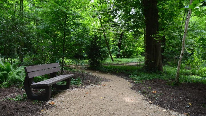 Foto 43 van Mariaplein 8