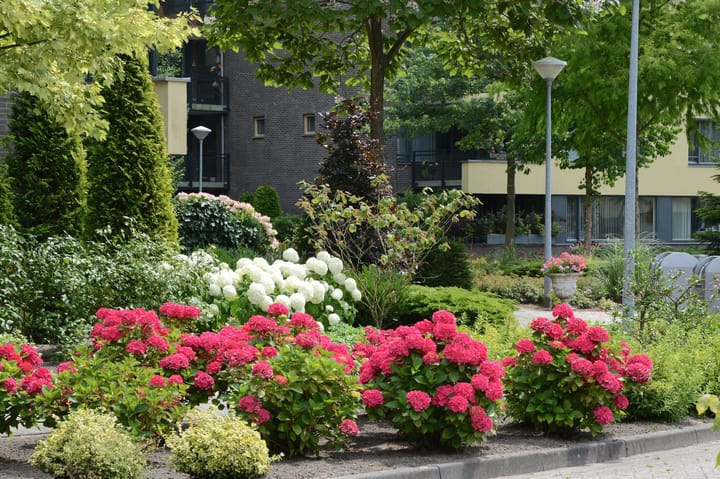 Foto 52 van Mariaplein 8