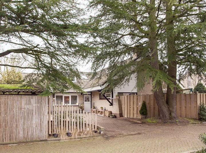 Foto 4 van Rasopark 12