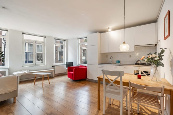 Foto 2 van Springweg 55