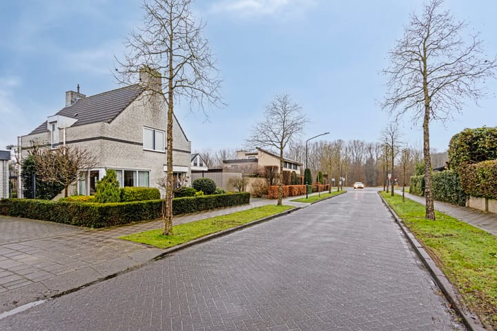 Foto 2 van Spoorven 22