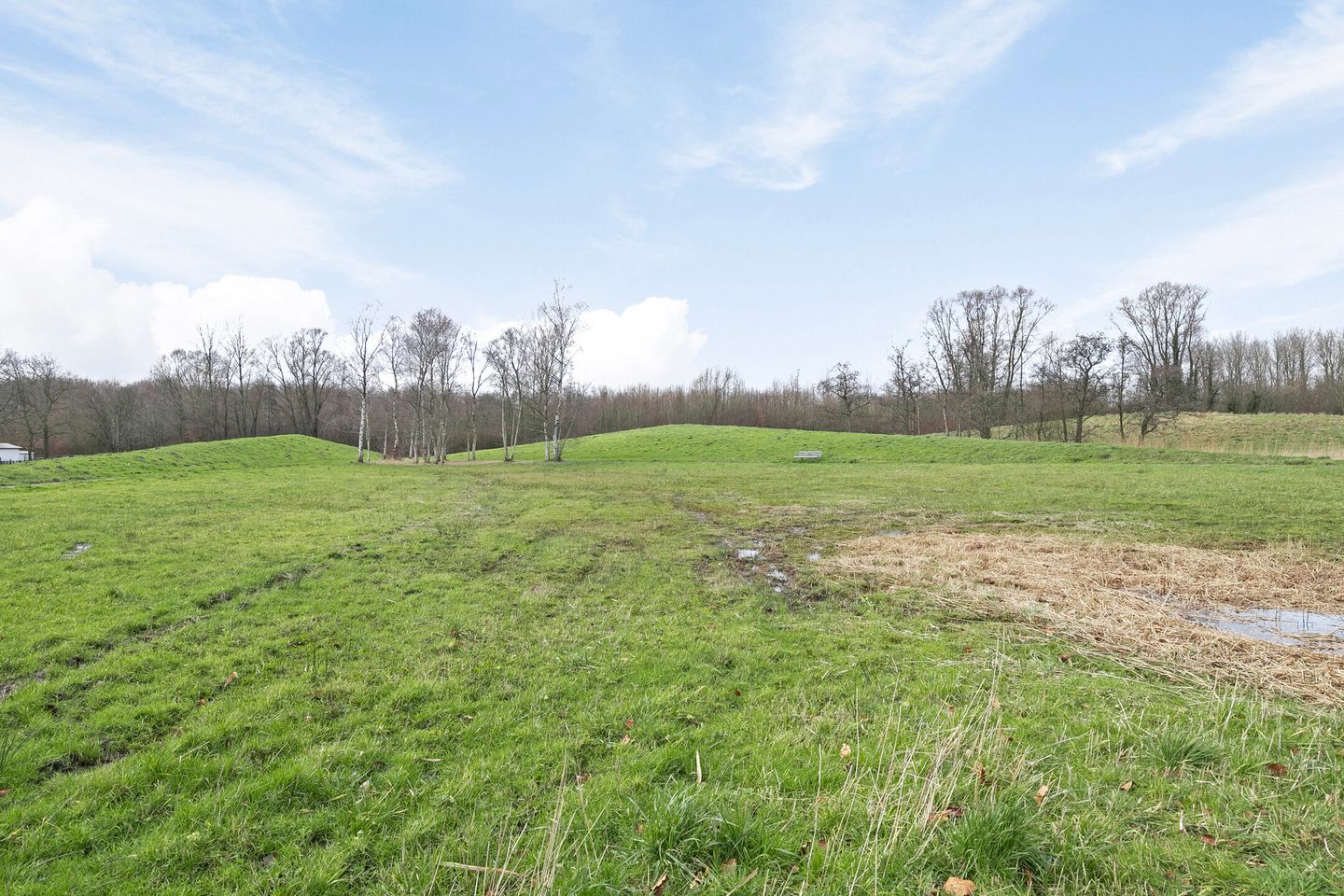 Foto 35 van Essehout 116