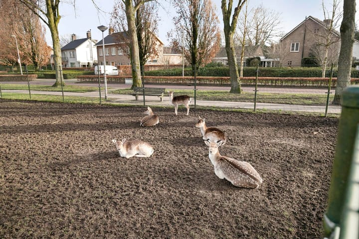 Foto 42 van Julianalaan 25