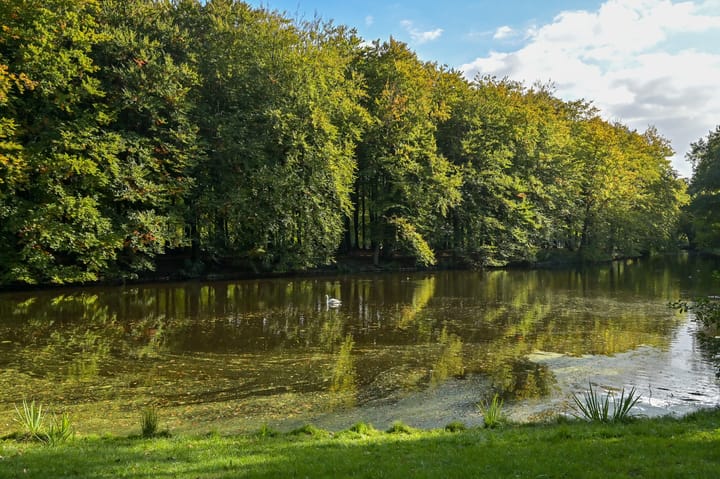 Foto 35 van Spaarwaterhof 10