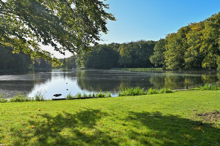 Foto 36 van Spaarwaterhof 10