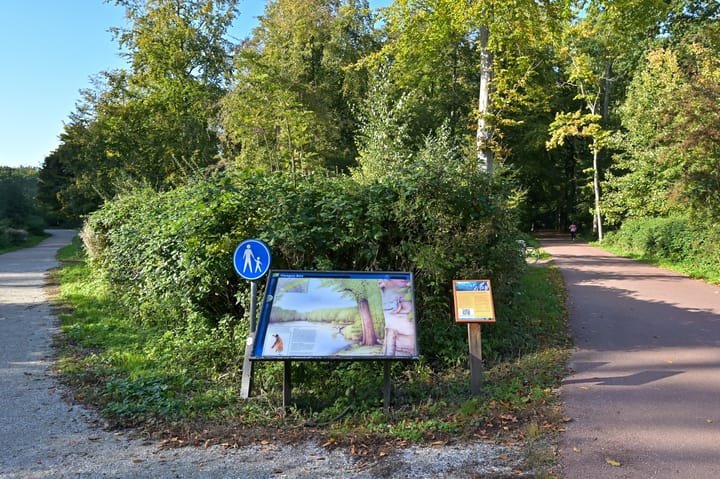 Foto 37 van Spaarwaterhof 10