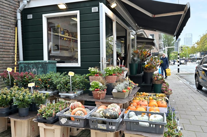 Foto 43 van Spaarwaterhof 10