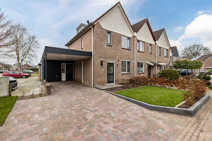 Foto 1 van Speenkruid 1