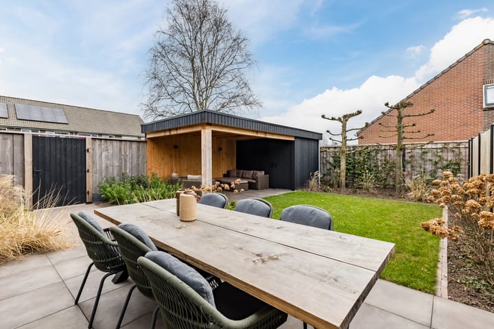 Foto 48 van Speenkruid 1