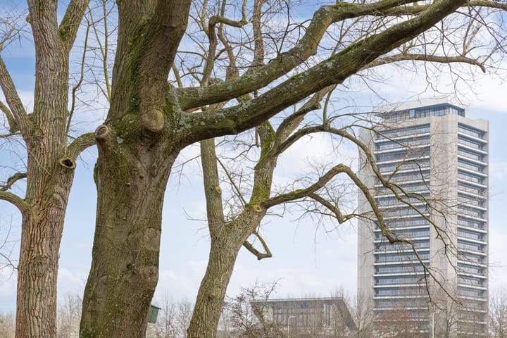 Foto 54 van Senecalaan 73