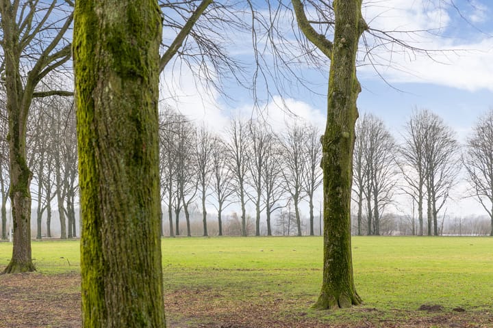 Foto 55 van Senecalaan 73