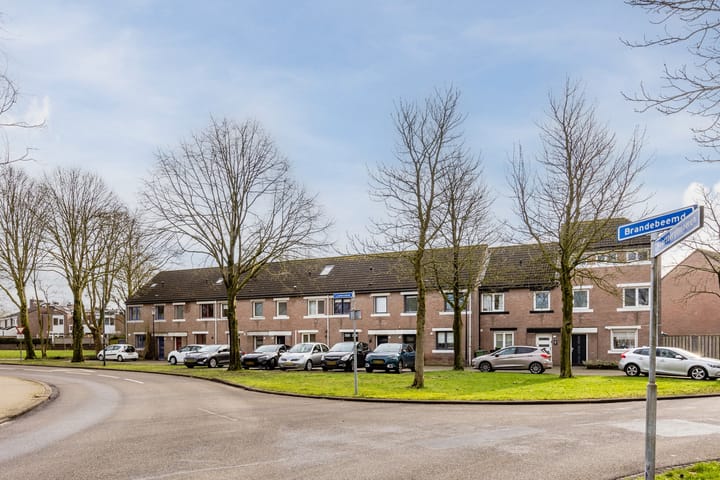 Photo 41 of Brandebeemd 116