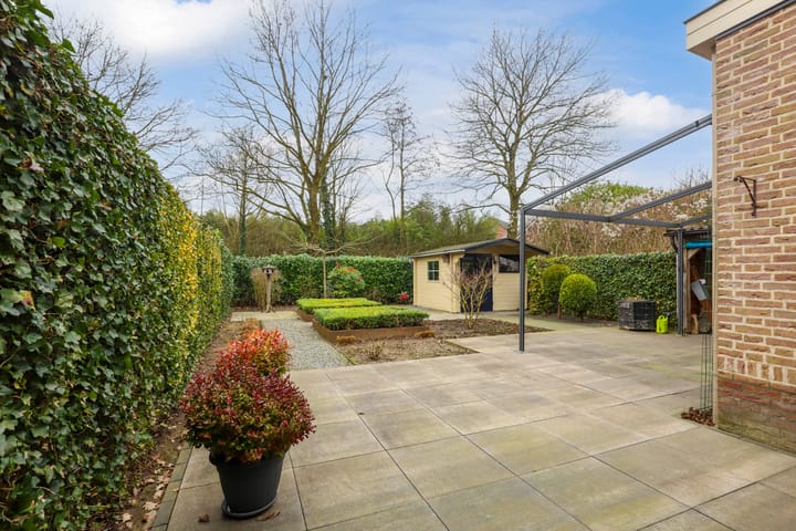 Foto 3 van Vogeldel 3