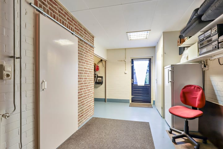 Foto 21 van Vogeldel 3